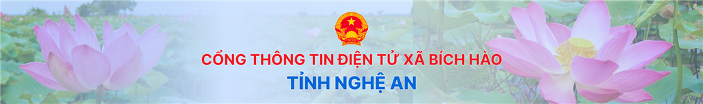 image banner